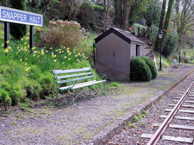 Snapper Halt 2025