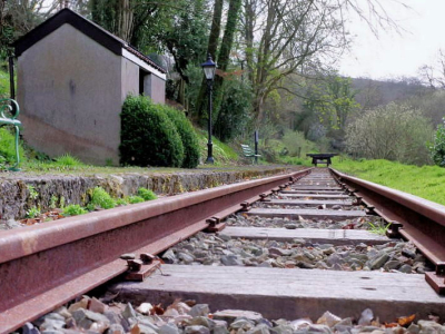 Snapper Halt 2025