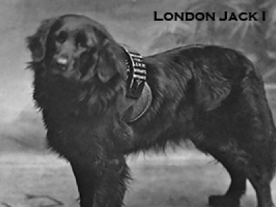 London Jack 1