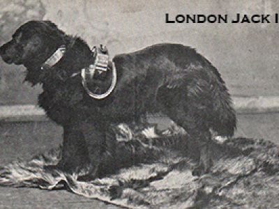 London Jack II