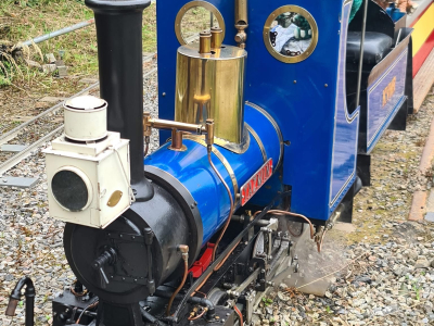 2024 Rails & Dino Scales
