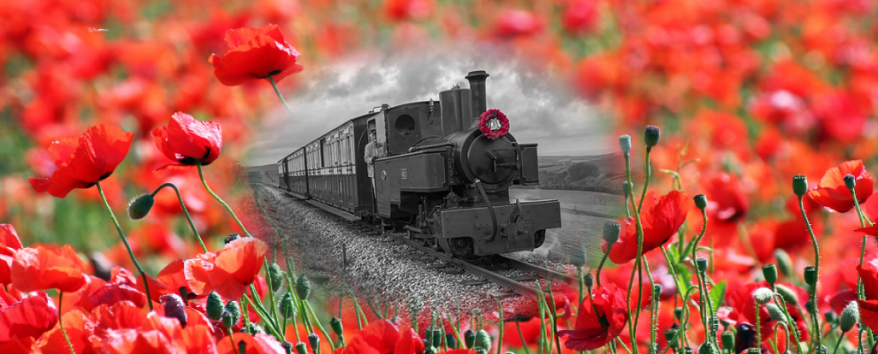 Remembrance Sunday - Axe