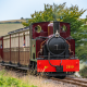 Railway 200 Autumn Gala: ‘Narrow gauge, the wider story’