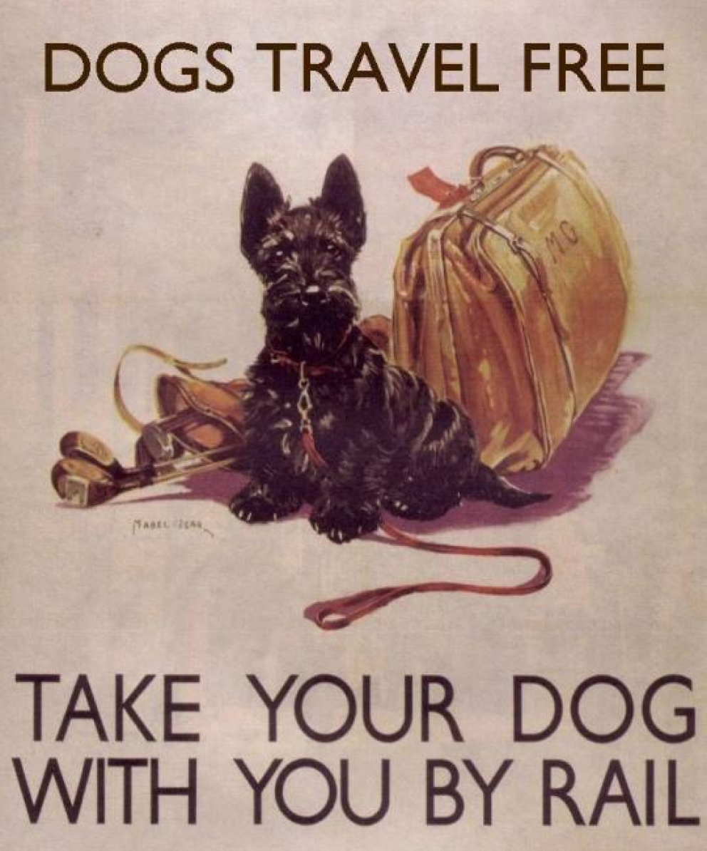 Take you dog poster