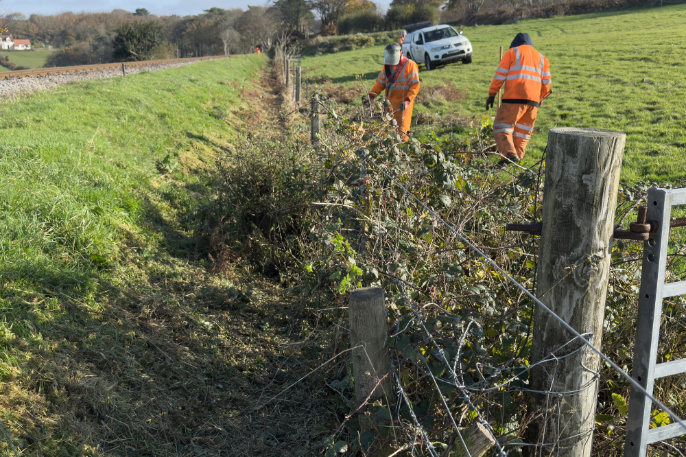 Completion of inspections and clearing of ditches and culverts on Thursday 14th November. Under the brambles and weeds is the location of bridge 68, an occupation bridge which was removed on rebuild of the line and replaced with a culvert