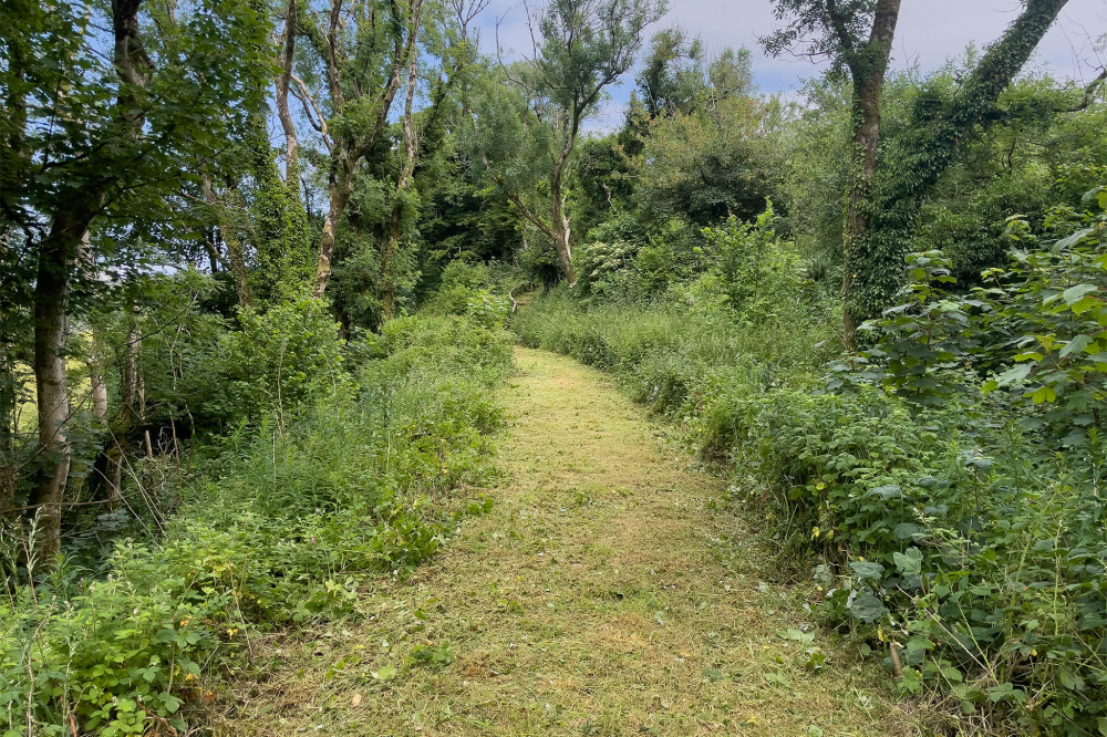 Rowley Cross L&BR track bed