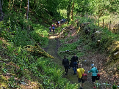 Budd's Wood Trackbed