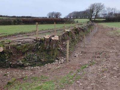 Devon bank with trackbed behind