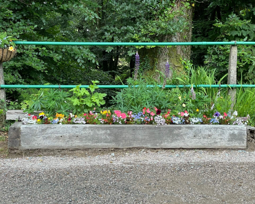 Down platform flowers