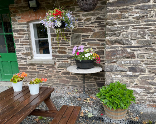 Station hanging baskets and flowers