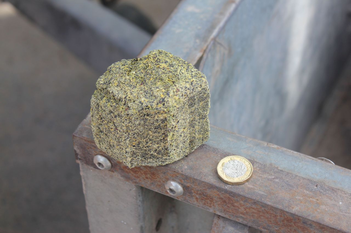 A rapeseed expeller briquette alongside a pound coin to give some idea of size.
