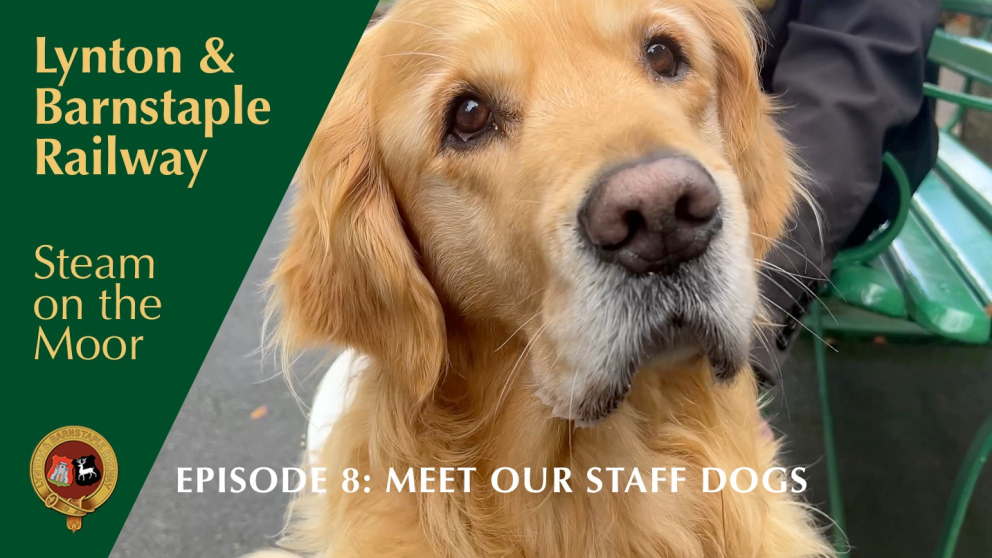 Steam on the Moor Episode 9 - Meet our staff dogs