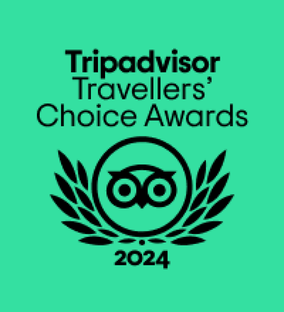 Trip Advisor Logo - Travellers' Choice Award